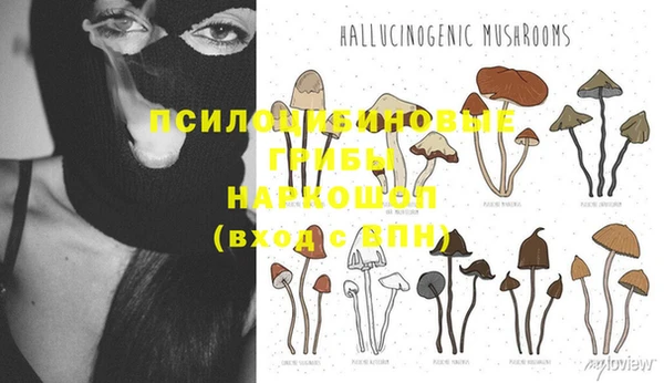 гидра Верхнеуральск