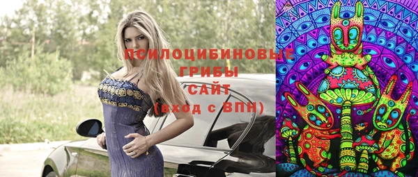 тгк Верея