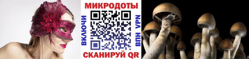 Псилоцибиновые грибы Psilocybe  мега зеркало  Киржач 